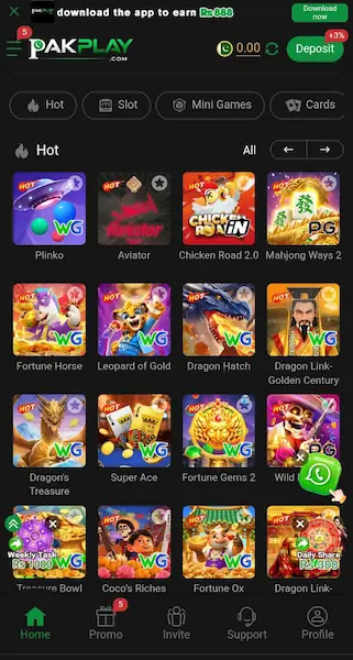 PAKPLAY Game Interface